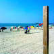 Image for article titled Shooting Challenge: Cellphone Gallery Part 2